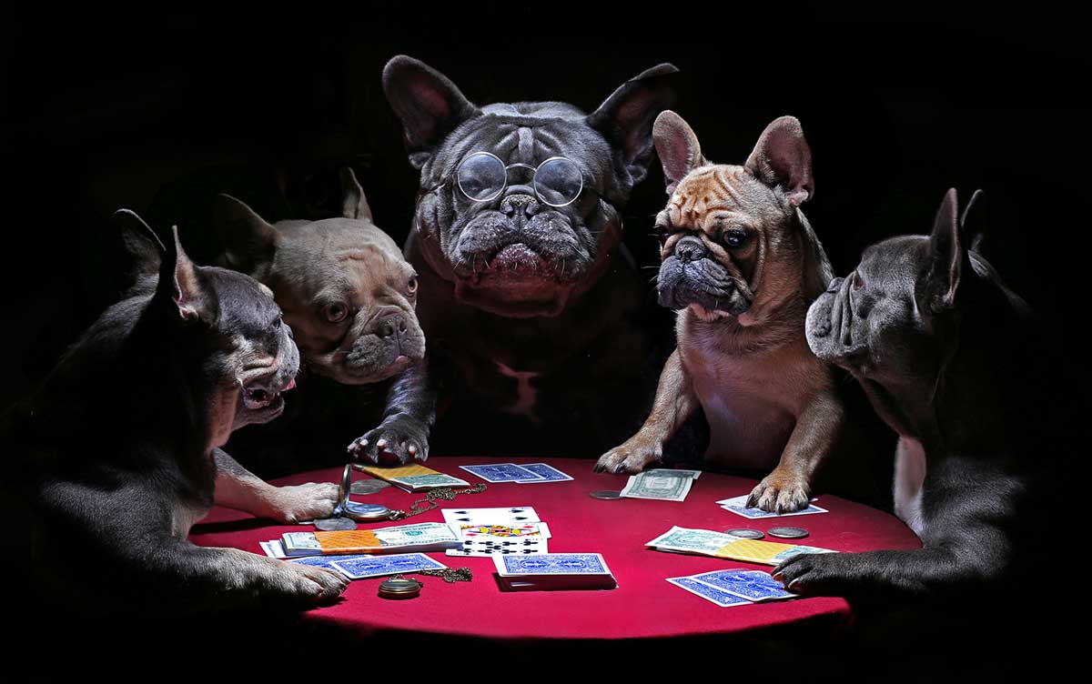 Dogs Playing Poker