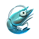 shrimp icon